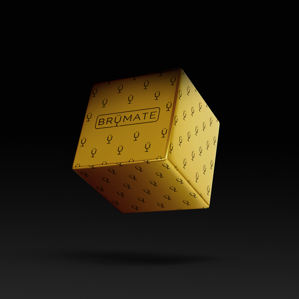 premium-mystery-item-39-70-value-t9 IMG-1548.png